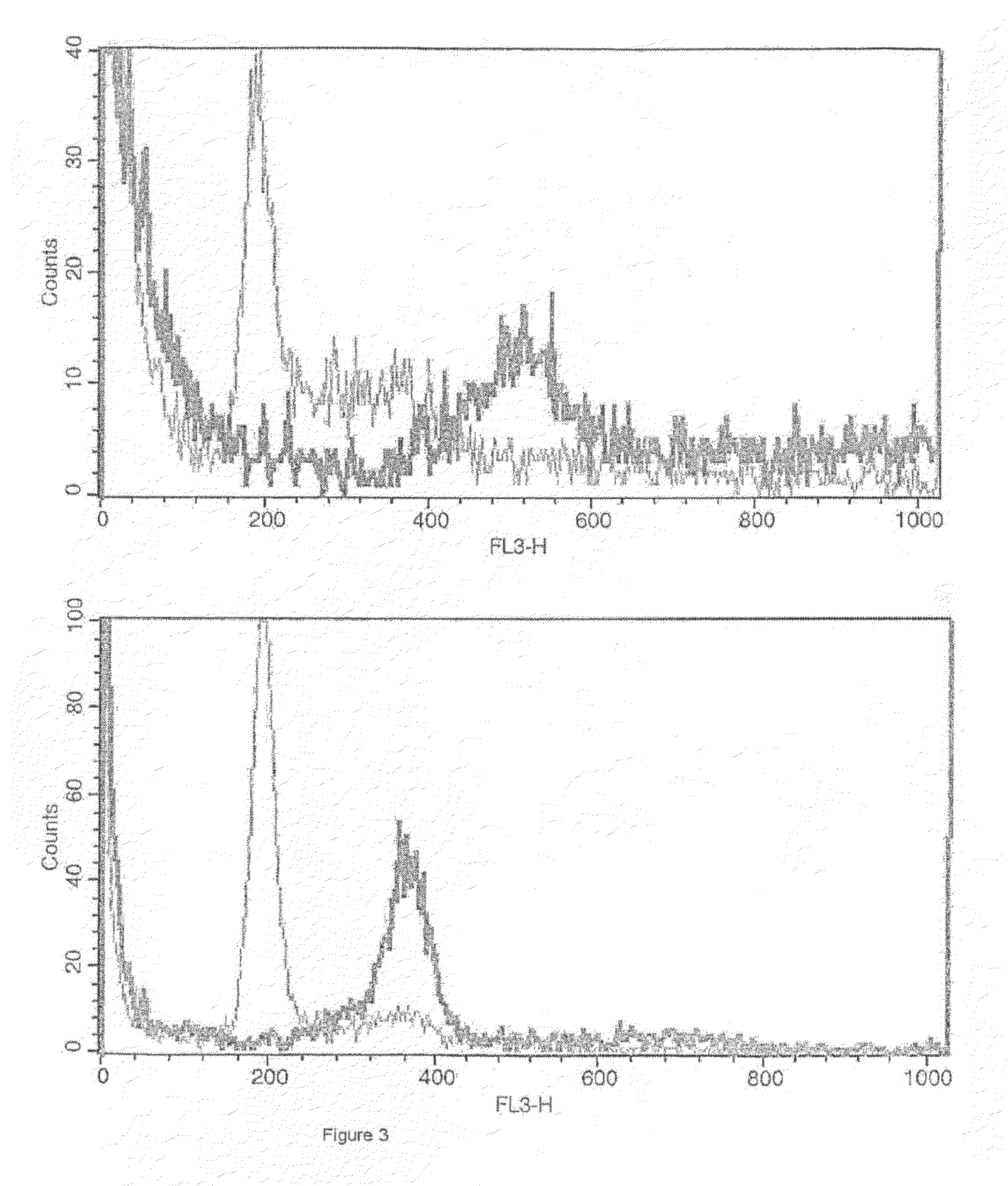 Modulation of Telomere Length in Telomerase Positive Cells and Cancer Therapy