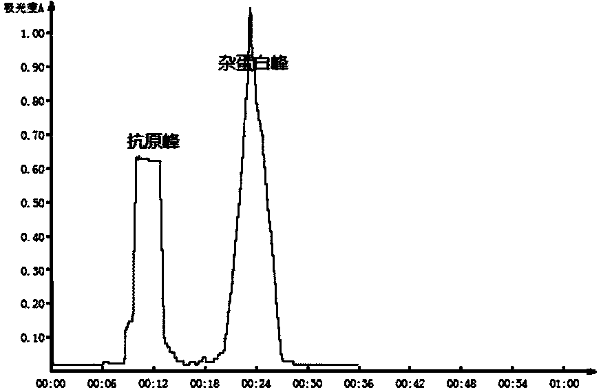 Method for preparing rabies vaccines for human use