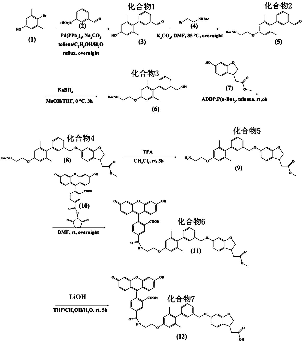 A method for detecting the binding ability of a sample to be tested and gpr40 and its special specific fluorescent probe