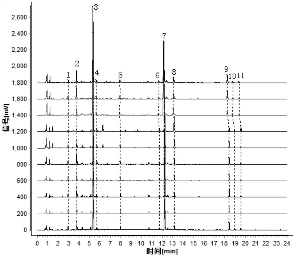 Method for identifying lonicera hypoglauca with different bases