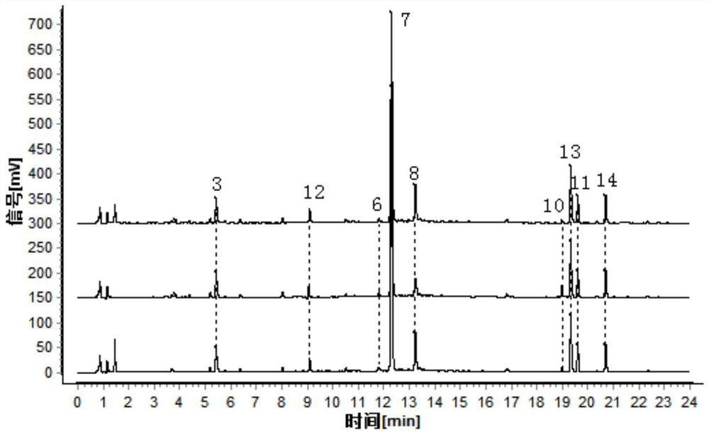 Method for identifying lonicera hypoglauca with different bases