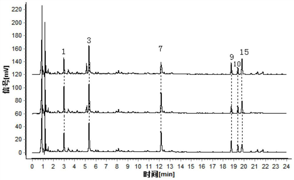 Method for identifying lonicera hypoglauca with different bases