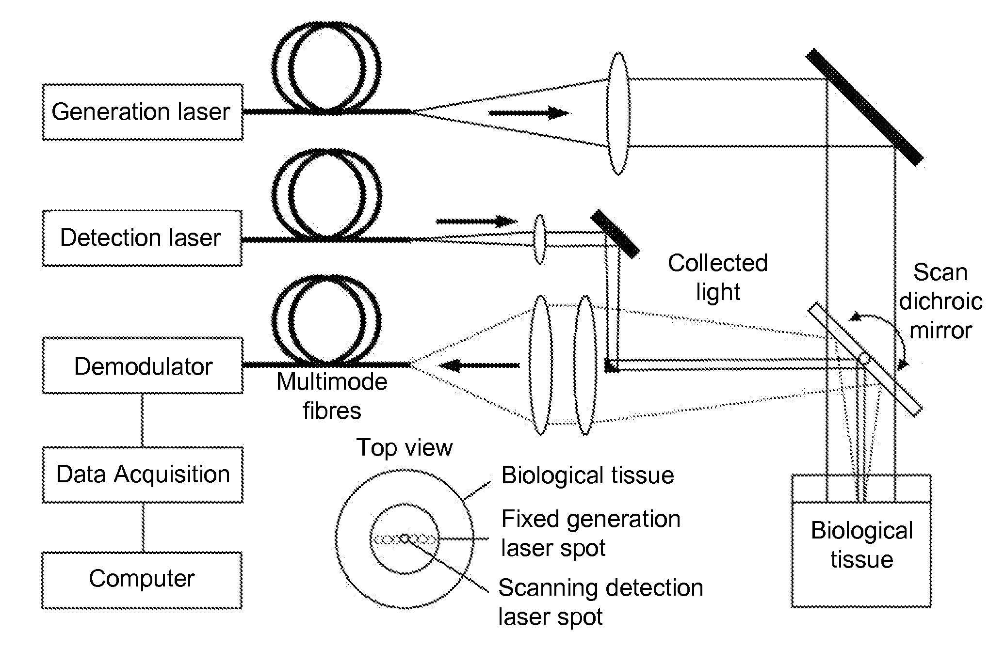 Biological tissue inspection method and system