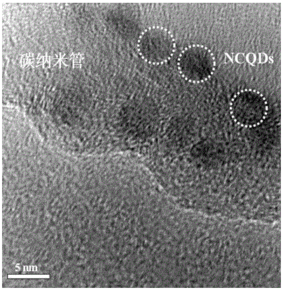 A kind of preparation method of platinum-based/nitrogen-doped carbon quantum dot-carbon nanotube catalyst