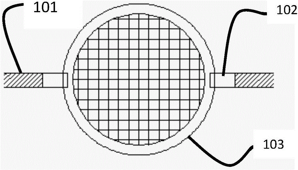 Fixing device for sample-loading copper grid