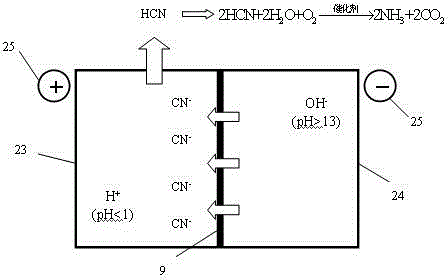 Device and method for recovering cyanogen through electric migration and recovering NH3 through oxidation