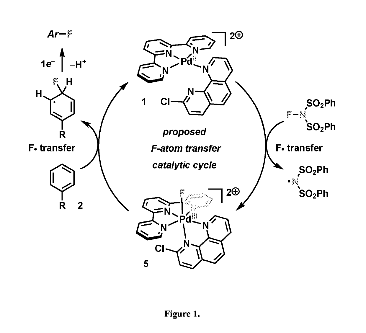 Direct palladium-catalyzed aromatic fluorination