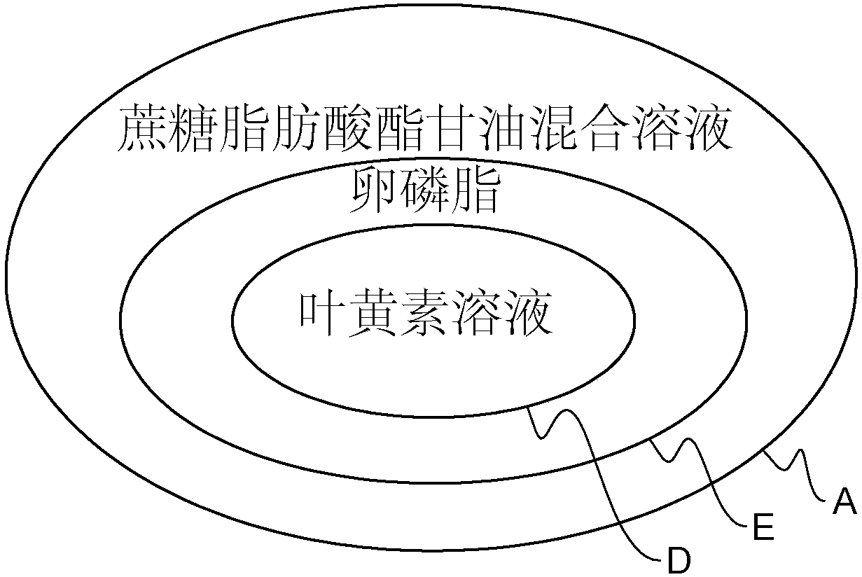 Lutein-carrying edible film and preparation method therefor