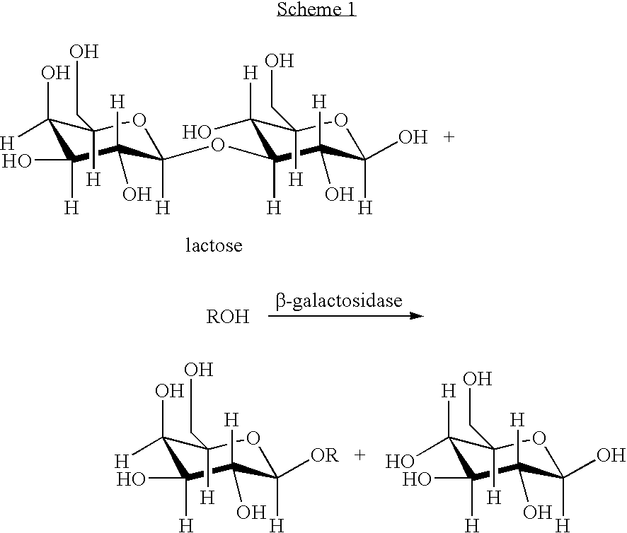 Method for expression of proteins on spore surface