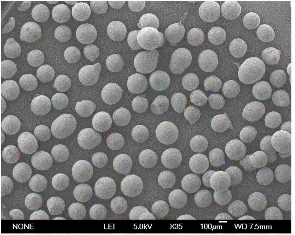 Acid-resistant magnetic chitosan microspheres as well as preparation method and application thereof