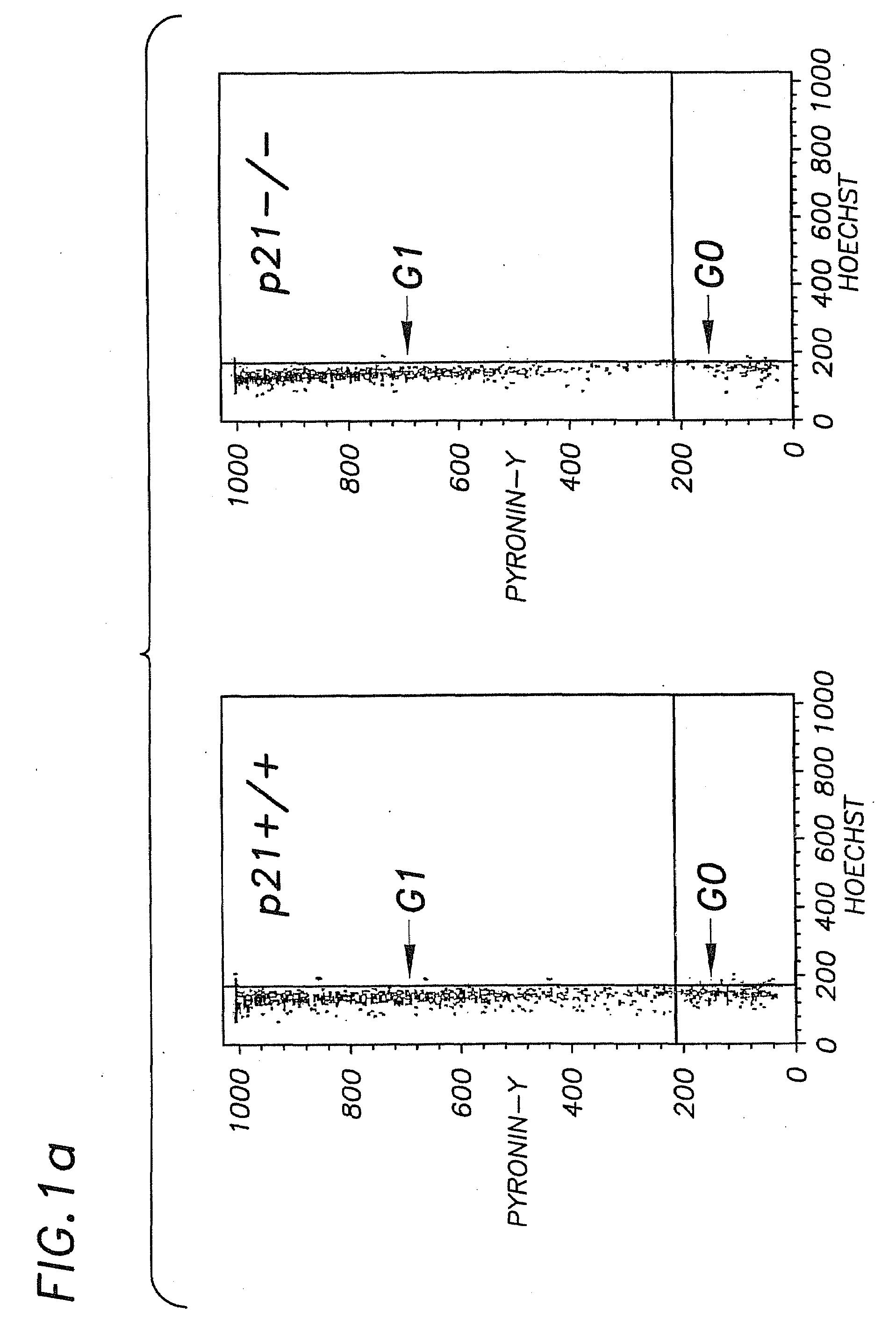 P27 and p21 in gene therapies