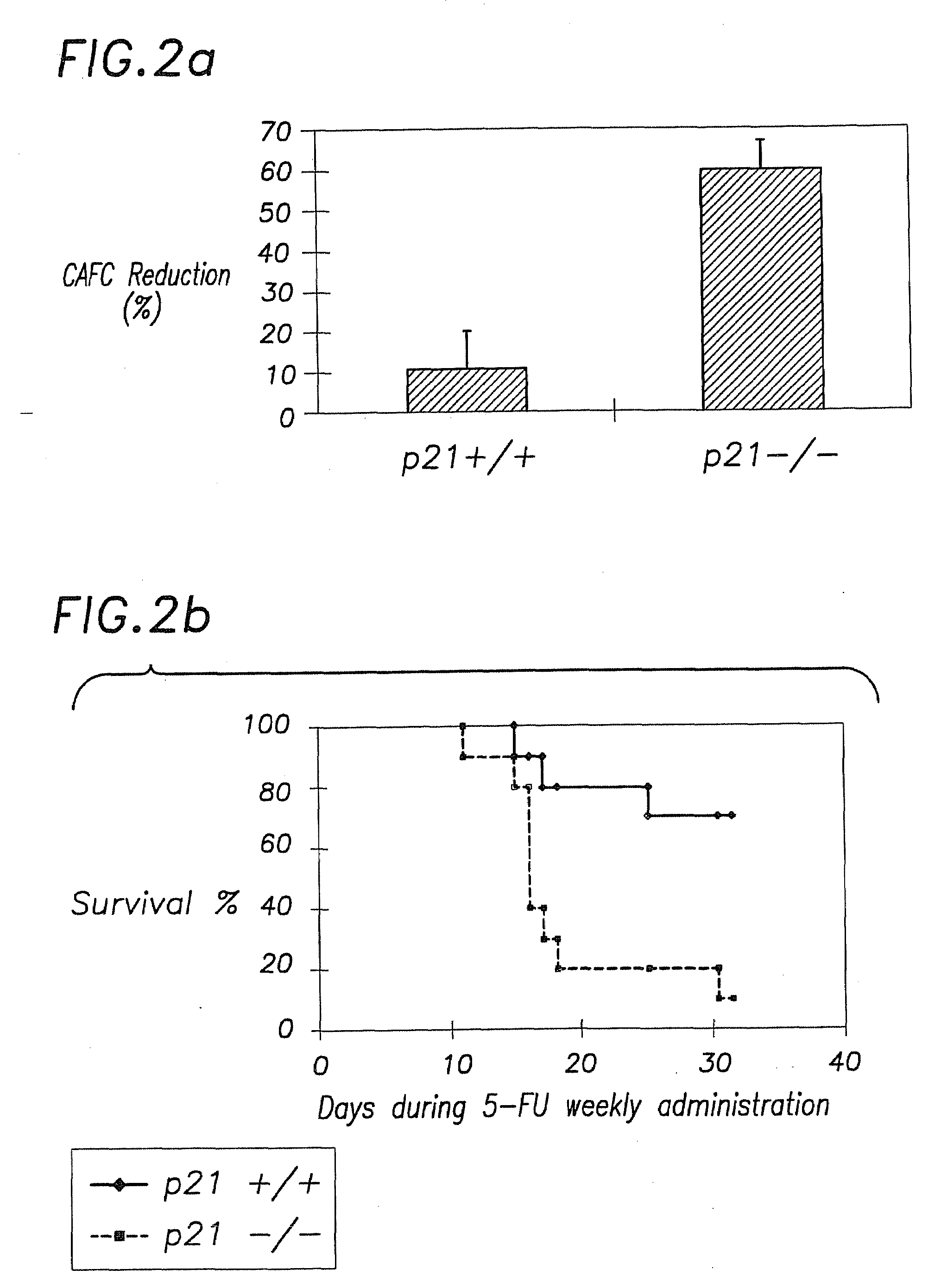 P27 and p21 in gene therapies