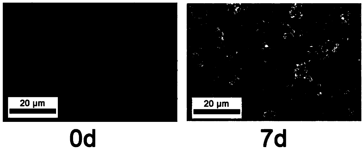 A liquid phase mineralization precursor and method for repairing demineralized dentin