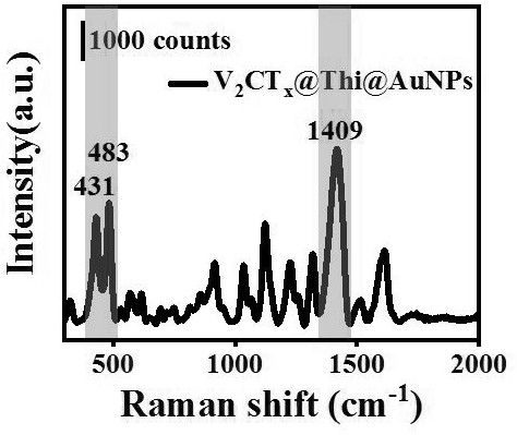 MXene probe applied to surface enhanced Raman spectroscopy (SERS) immune test