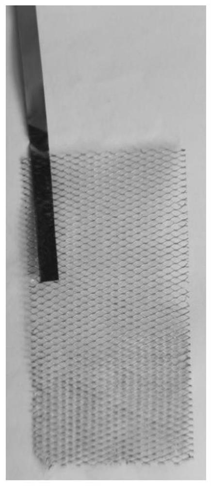 Preparation method and application of nickel-mesh-based current collector electrode plate