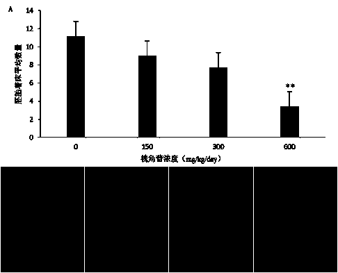 Method of resisting breeding of female rats by sophoricoside