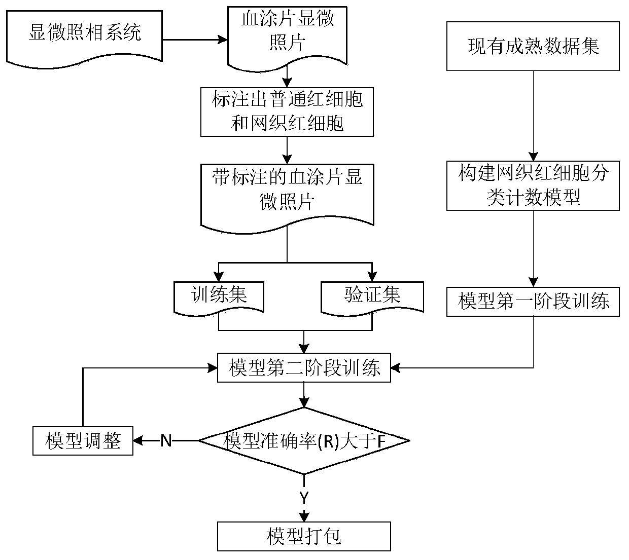 Reticulocyte classification counting model construction method and application