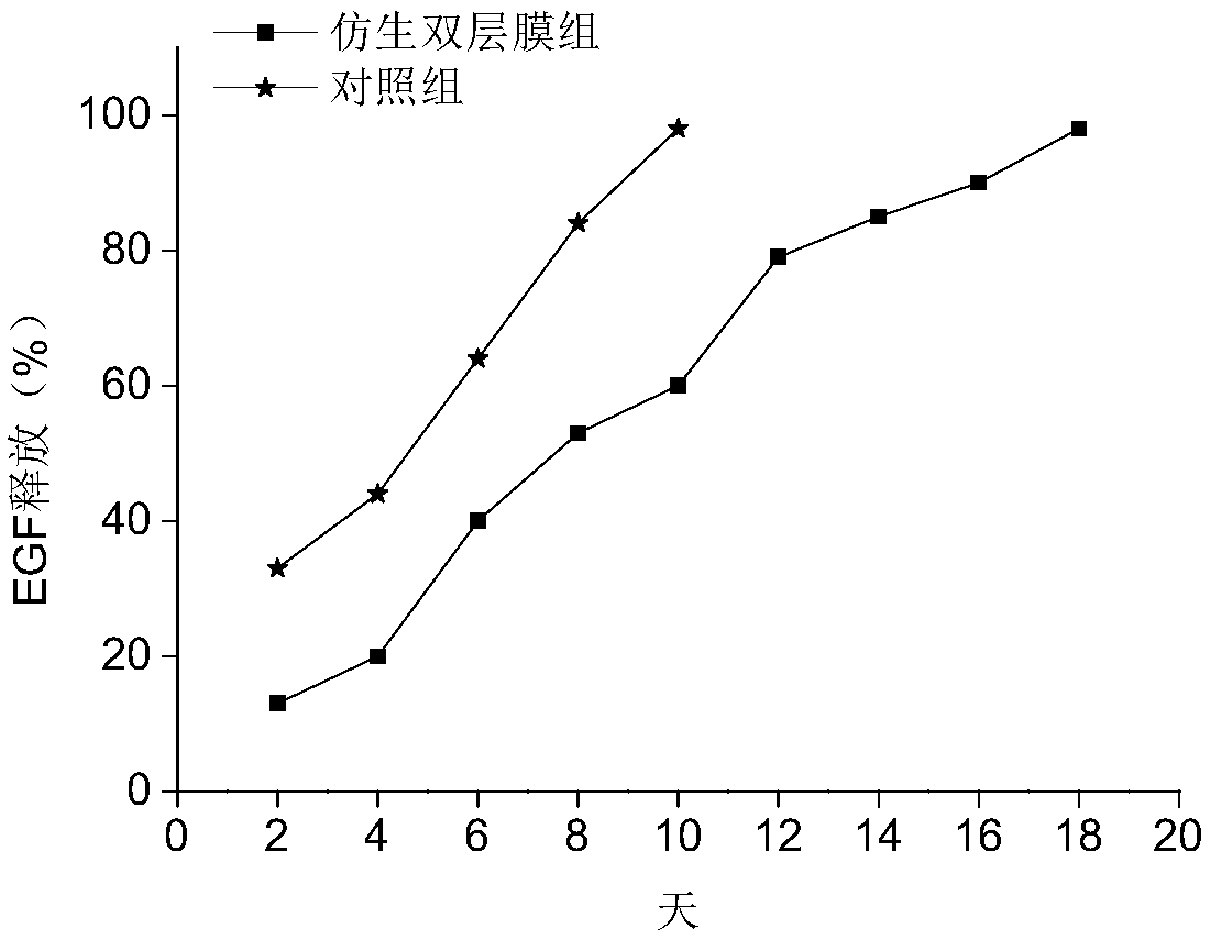 Bionic double-layer sustained-release growth factor film as well as preparation method and application thereof