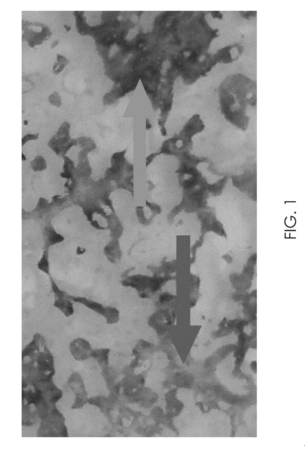 Methods of Culturing Retinal Pigmented Epithelium Cells, Including Xeno-Free Production, RPE Enrichment, and Cryopreservation