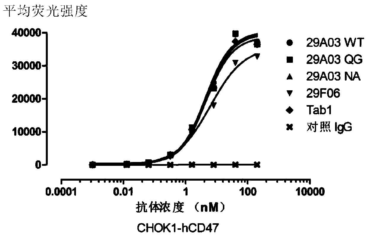 Anti-CD47 antibody and production method and application thereof