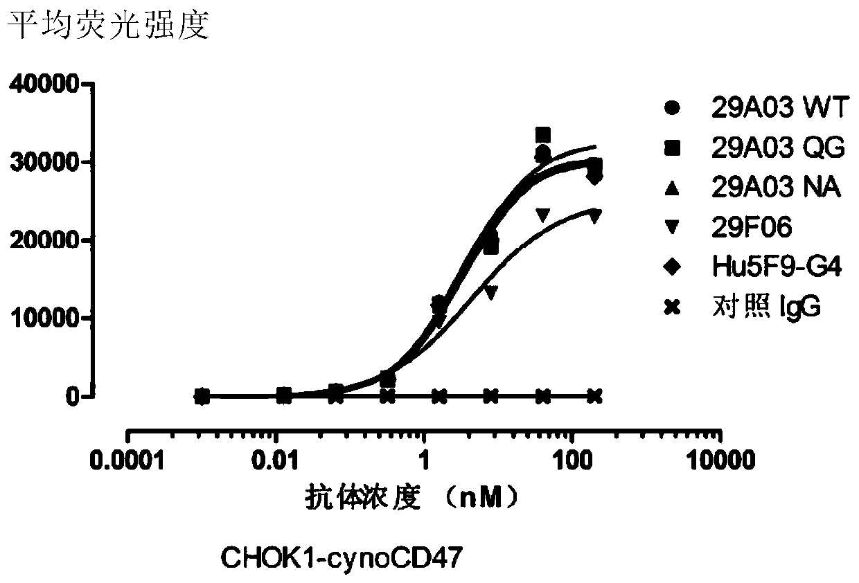 Anti-CD47 antibody and production method and application thereof