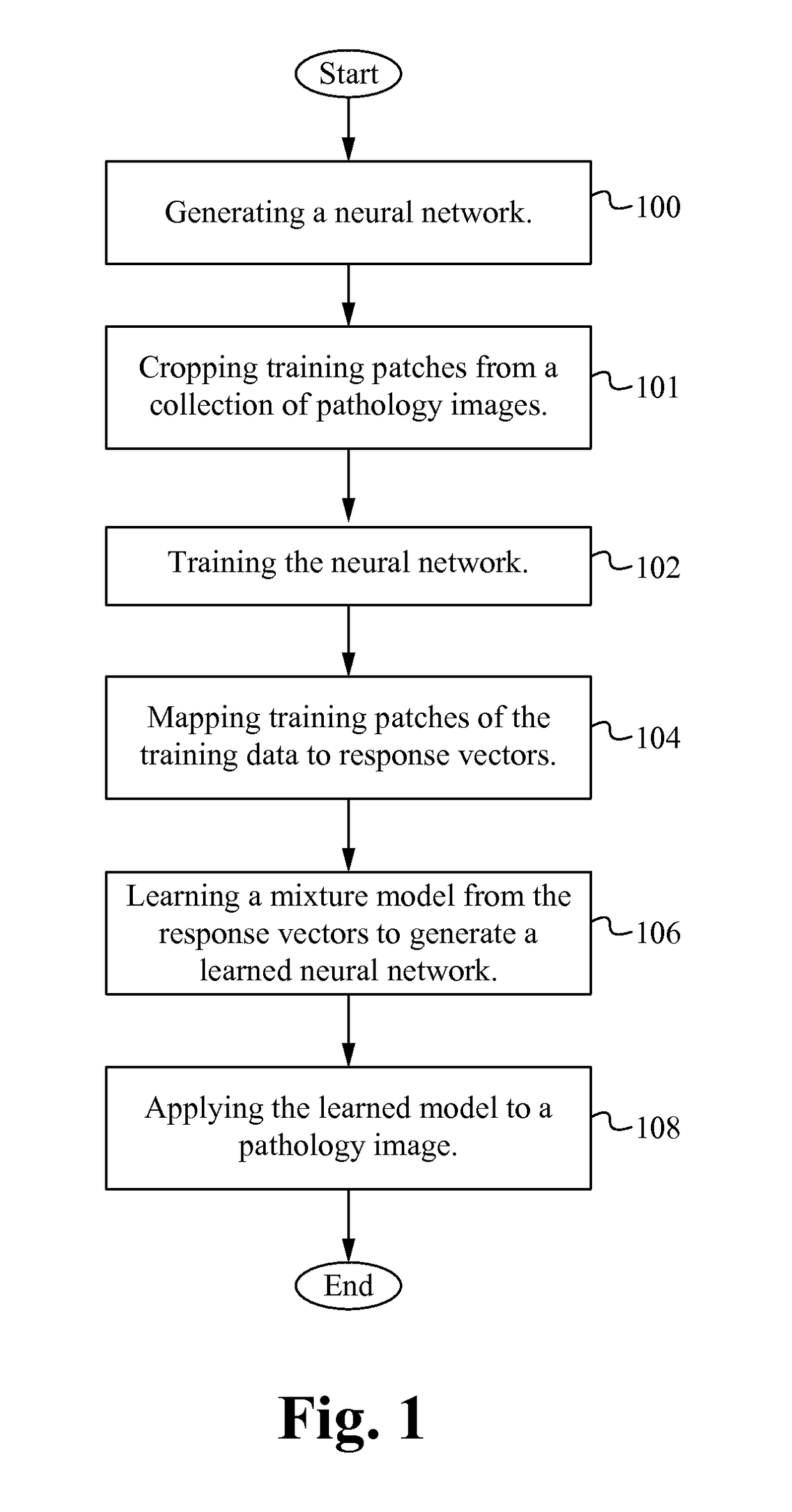 Characterizing pathology images with statistical analysis of local neural network responses