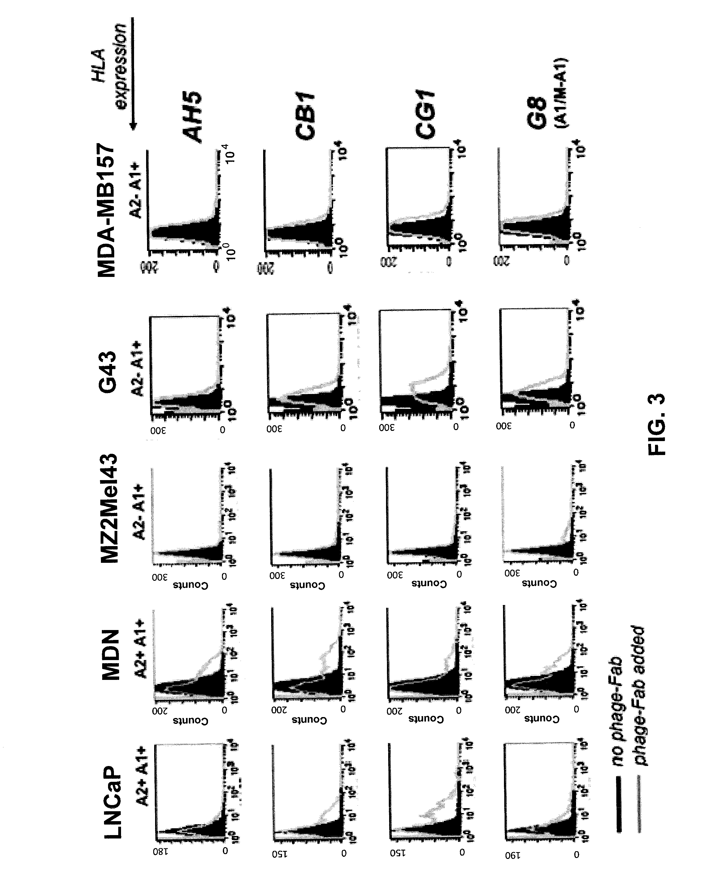 Aberrant cell-restricted immunoglobulins provided with a toxic moiety