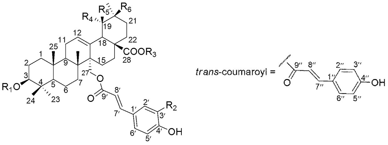 Use of aryl-substituted acryloyl triterpenoids in the preparation of anti-complement drugs