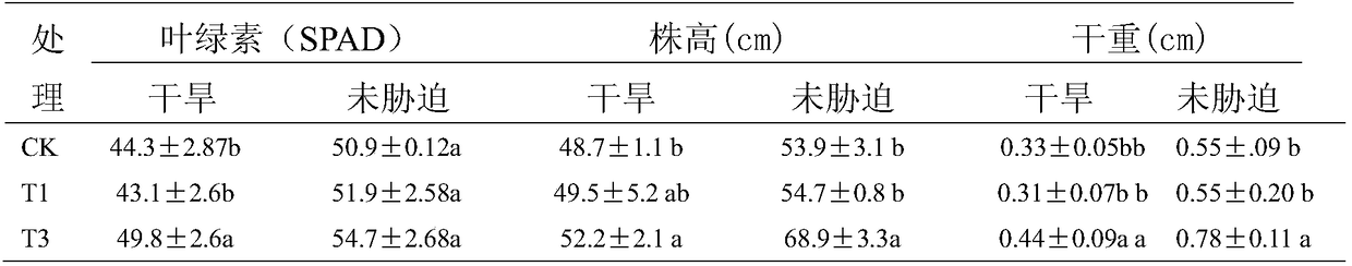 Pseudomonas monteilii and application thereof