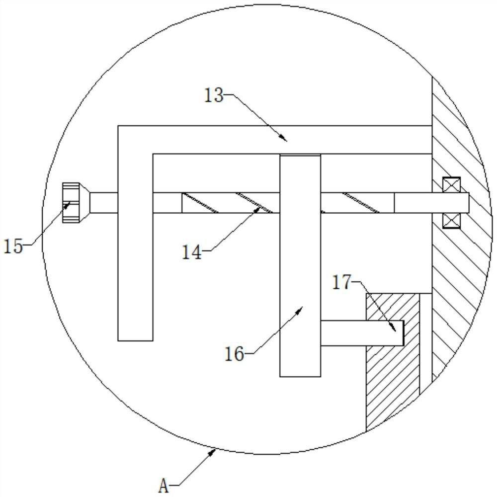 Hippophae rhamnoides fruit sterilization device and fruit juice preparation method based on sterilization device