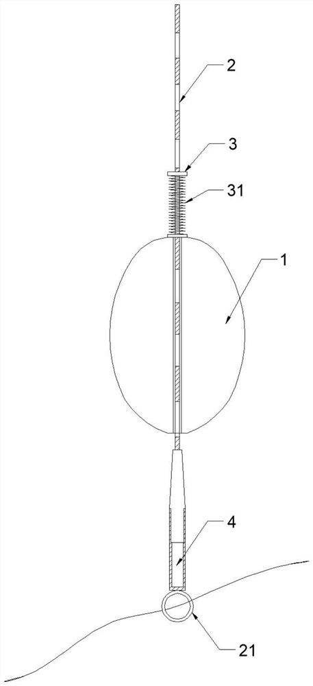 Day and night seismic wave indicator