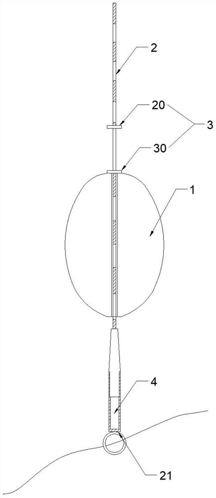 Day and night seismic wave indicator