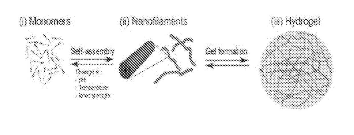 Supramolecular hydrogels containing angiotensin receptor blockers for targeted treatment of diabetic wounds