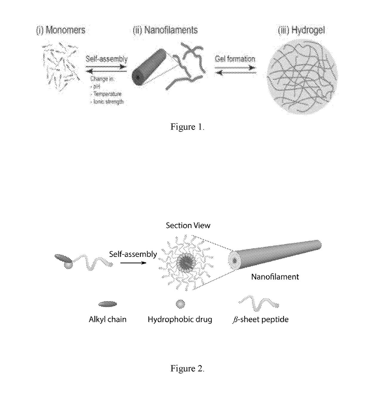 Supramolecular hydrogels containing angiotensin receptor blockers for targeted treatment of diabetic wounds