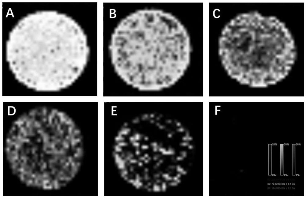 Mass spectrum imaging method for realizing quantitative analysis and water stability monitoring of CuBTC