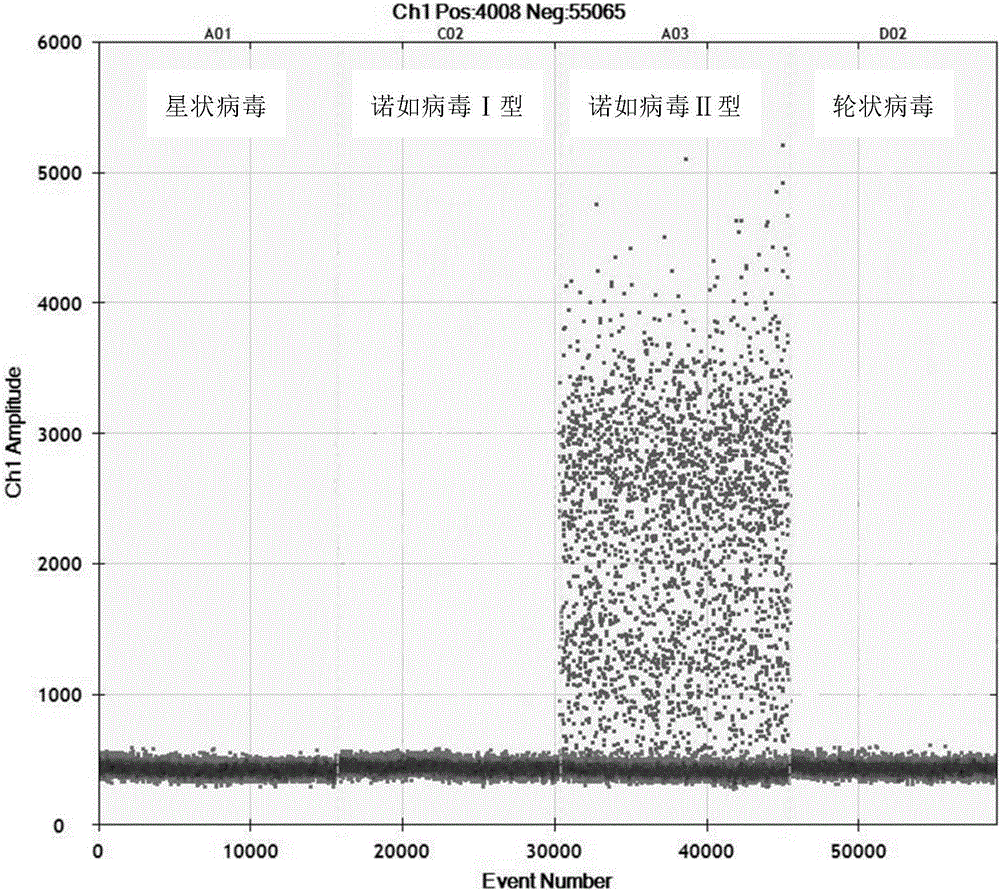 Reagent kit and method for accurately and quantitatively detecting type-II norovirus