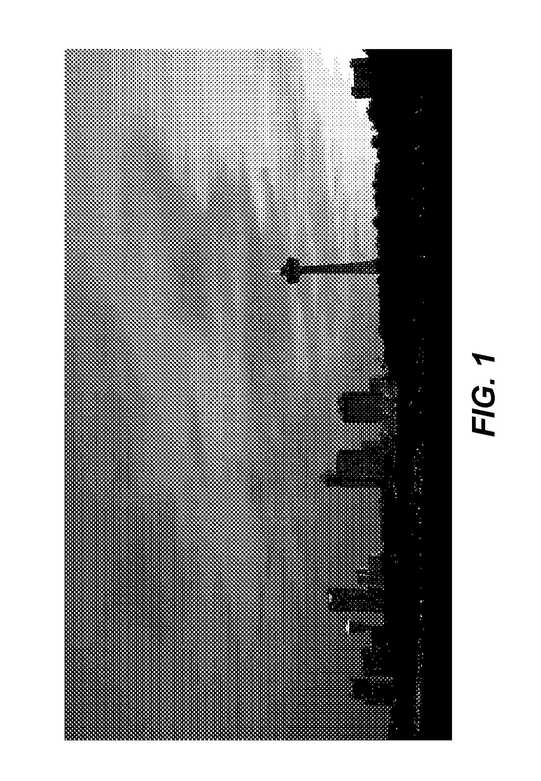 Dynamic illumination control for laser projection display