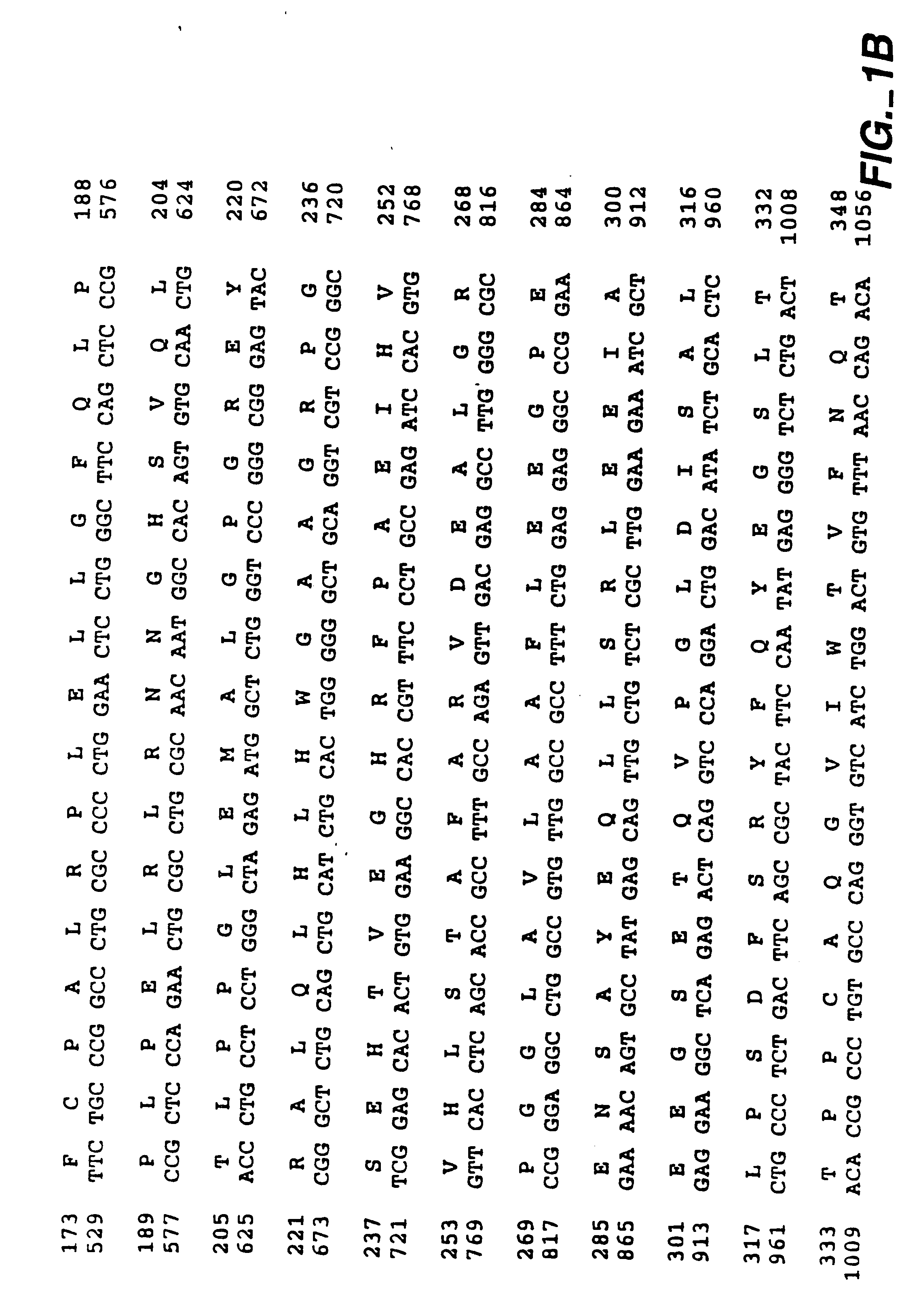 MN gene and protein