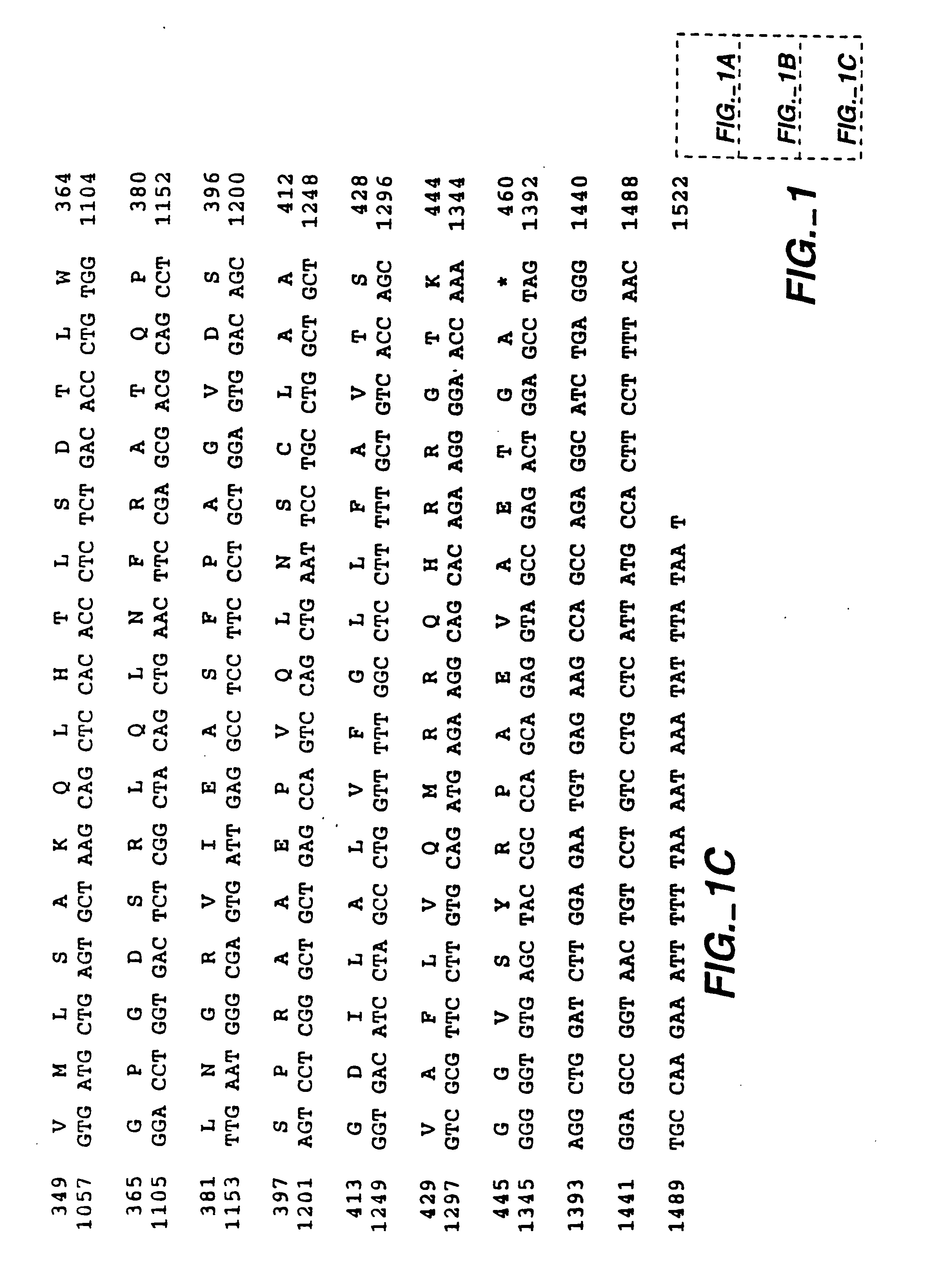 MN gene and protein