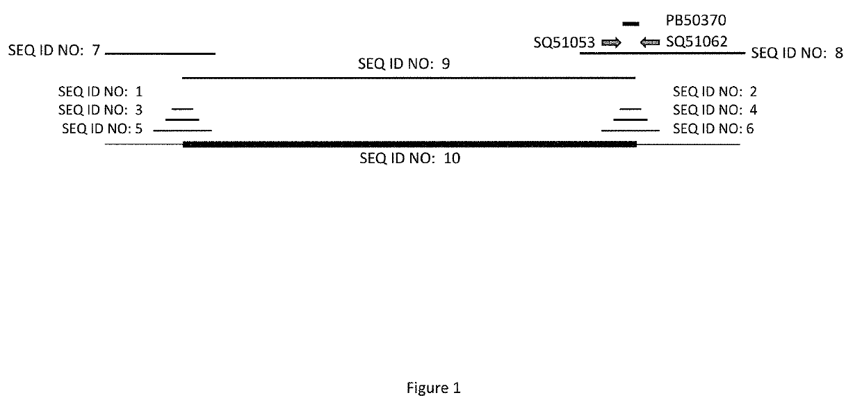 Maize Event MON87429 and Methods of Use Thereof