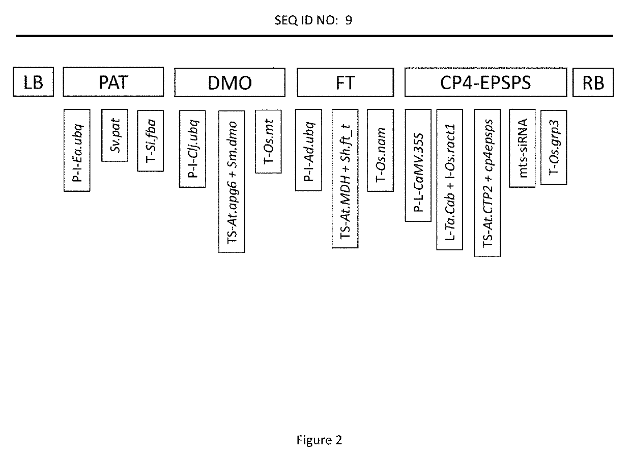 Maize Event MON87429 and Methods of Use Thereof