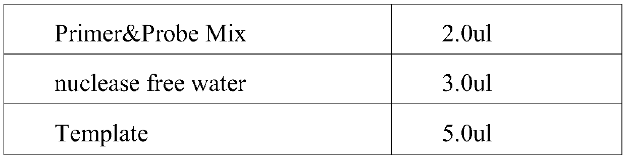 Kit for detecting MTRR gene A66G rs1801394SNP site