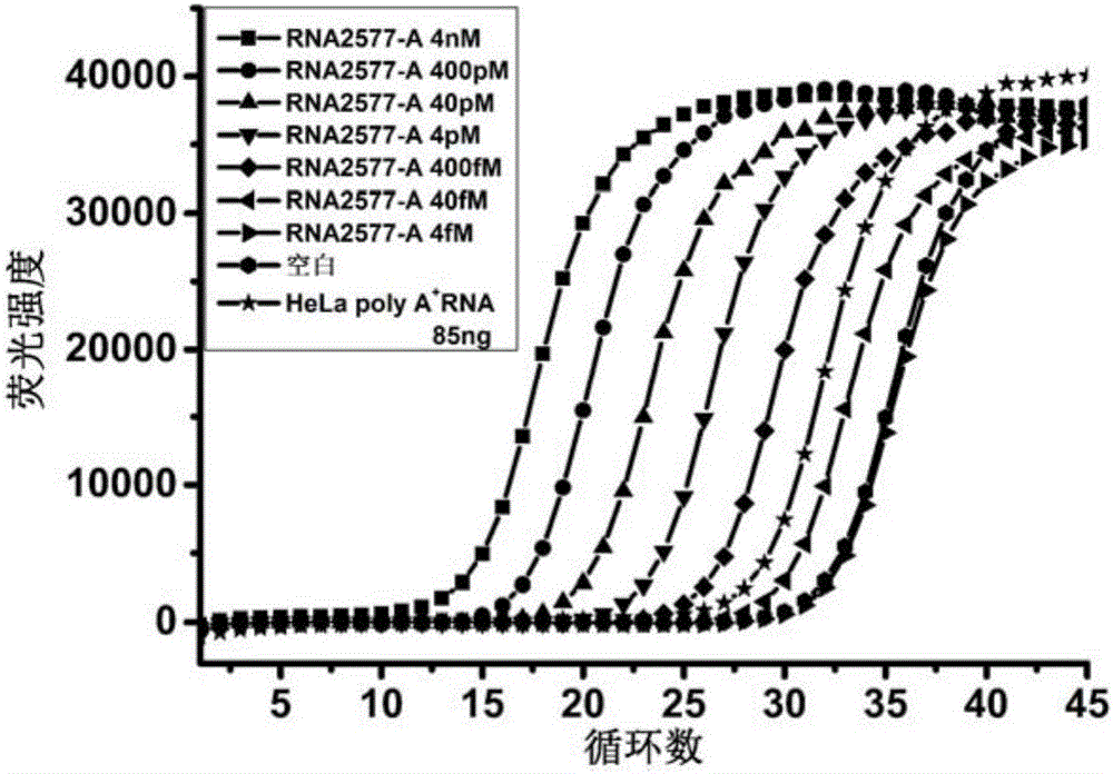 Application of T3 DNA ligase and T4 RNA ligase 2 in detection of N6 methyladenine
