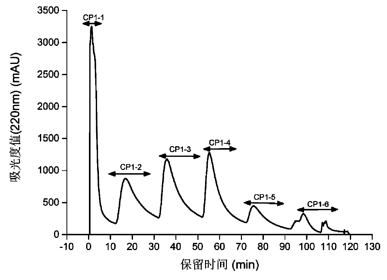 Active peptide for promoting osteoblast proliferation and application thereof