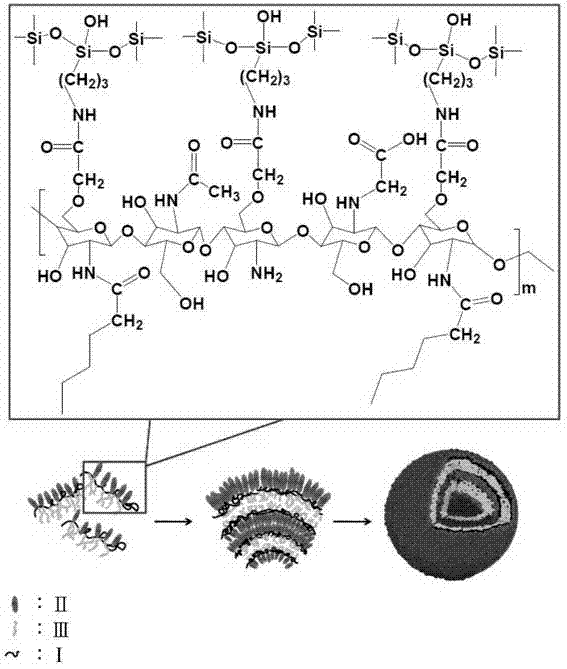 Medicine loading type contact lens and preparation method thereof