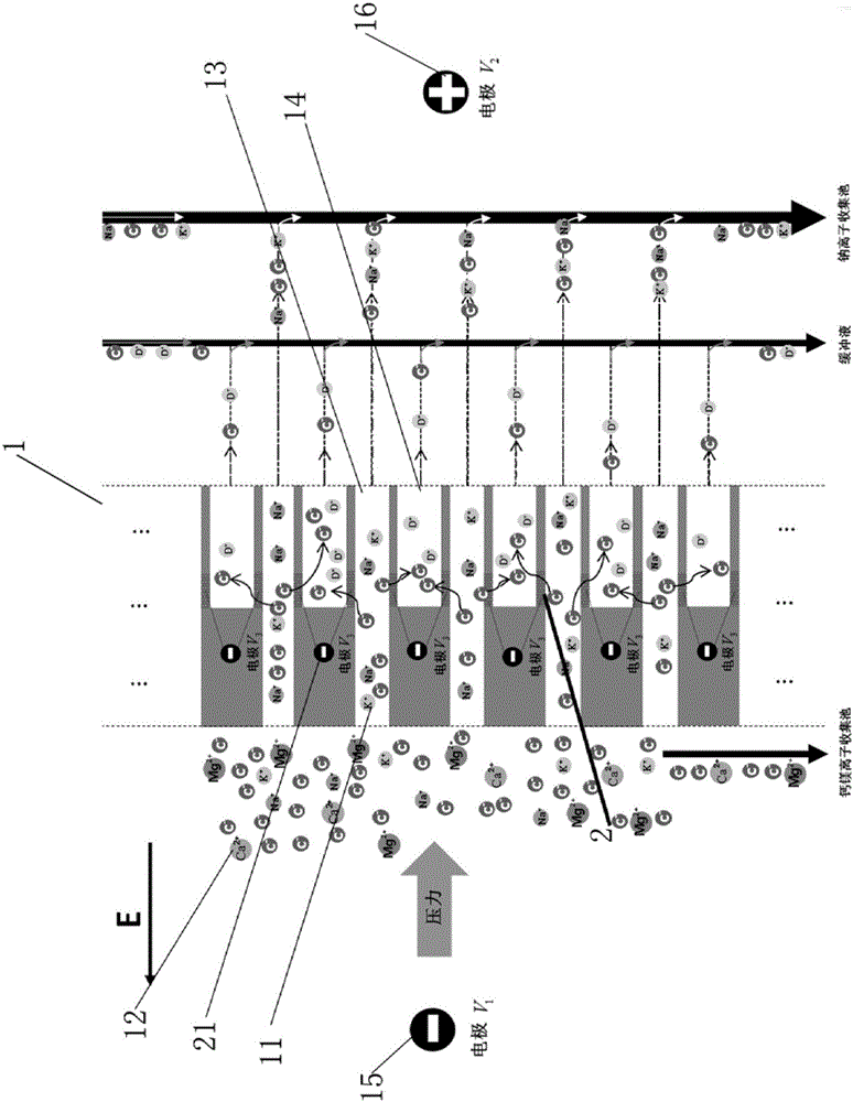 Saline-water refining device and method capable of directly removing calcium and magnesium