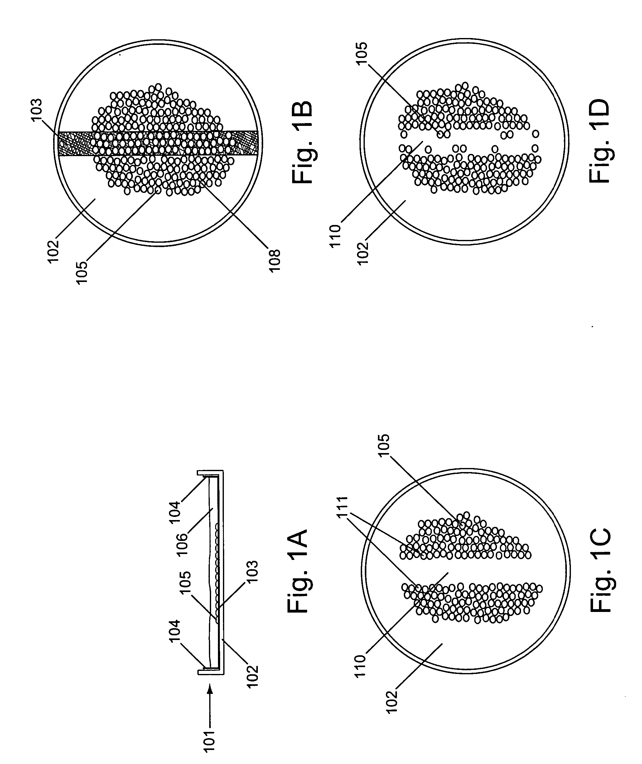 In vitro wound healing assay and device