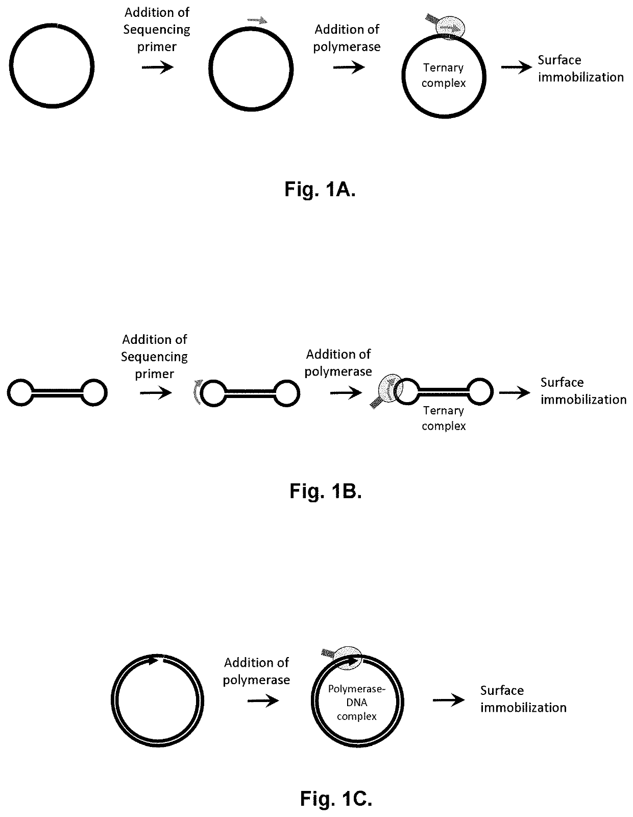 Method for label-free single-molecule DNA sequencing and device for implementing same