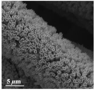A kind of graphitic carbon/metal nitride composite nanotube array and its preparation method and application