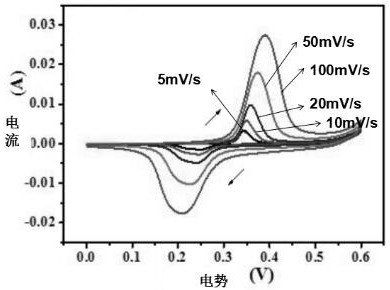 A kind of graphitic carbon/metal nitride composite nanotube array and its preparation method and application